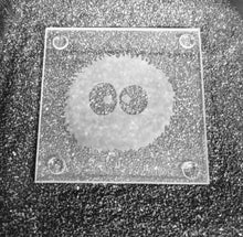 Load image into Gallery viewer, A clear square glass coaster etched with a soot sprite. The sprite is round and fuzzy with two large eyes in the middle. 
